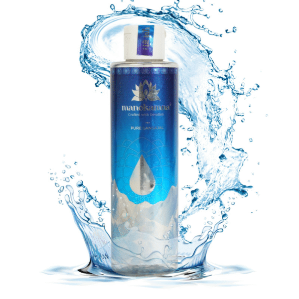 Manokamna's Pure Gangajal (200ml - Pack of 2) - Image 7